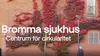 Bromma sjukhus - centrum för cirkularitet